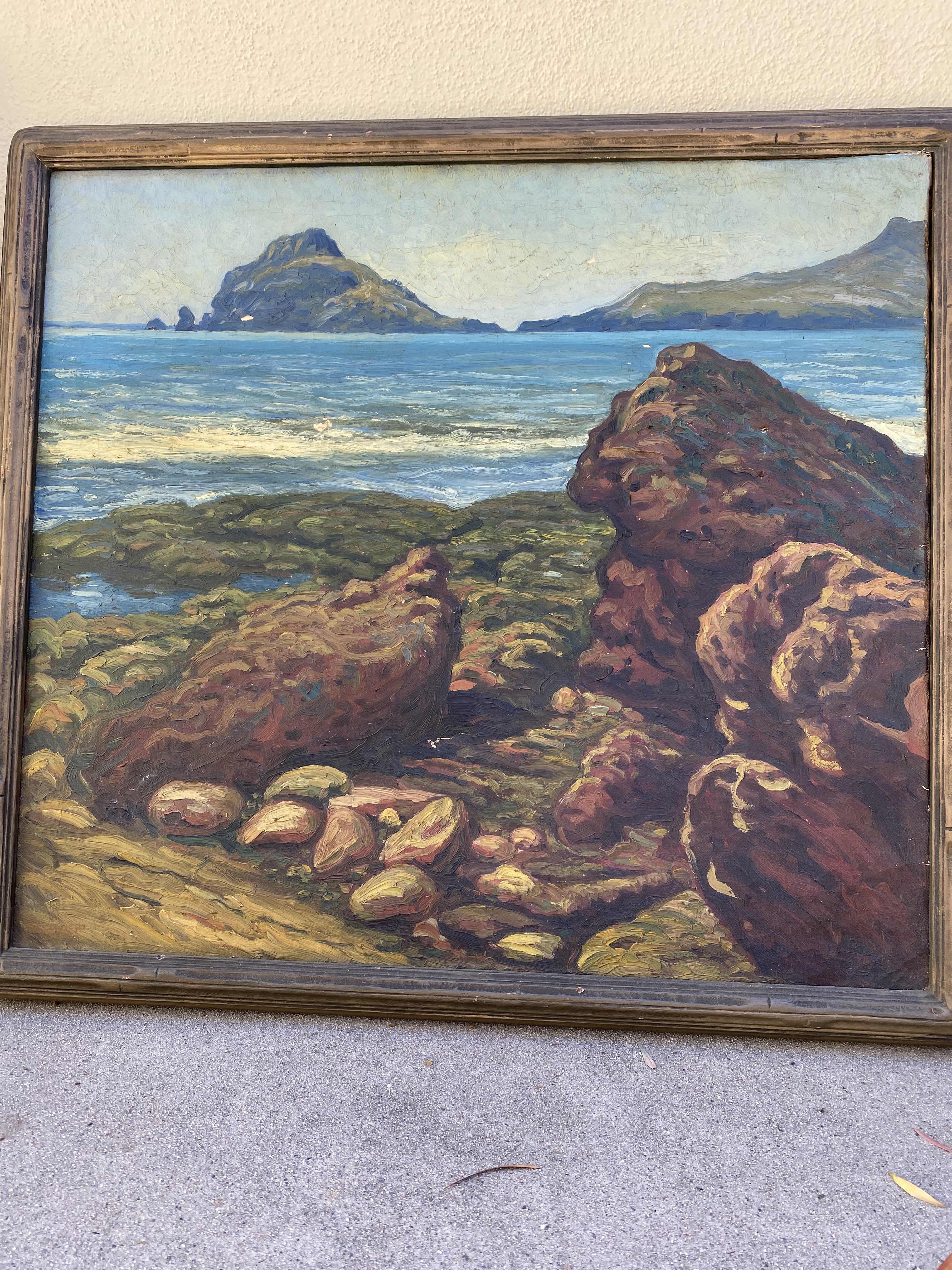 Rocks, Beach Waves, Mountains-Cornejo, Artist at the Mayan Theater